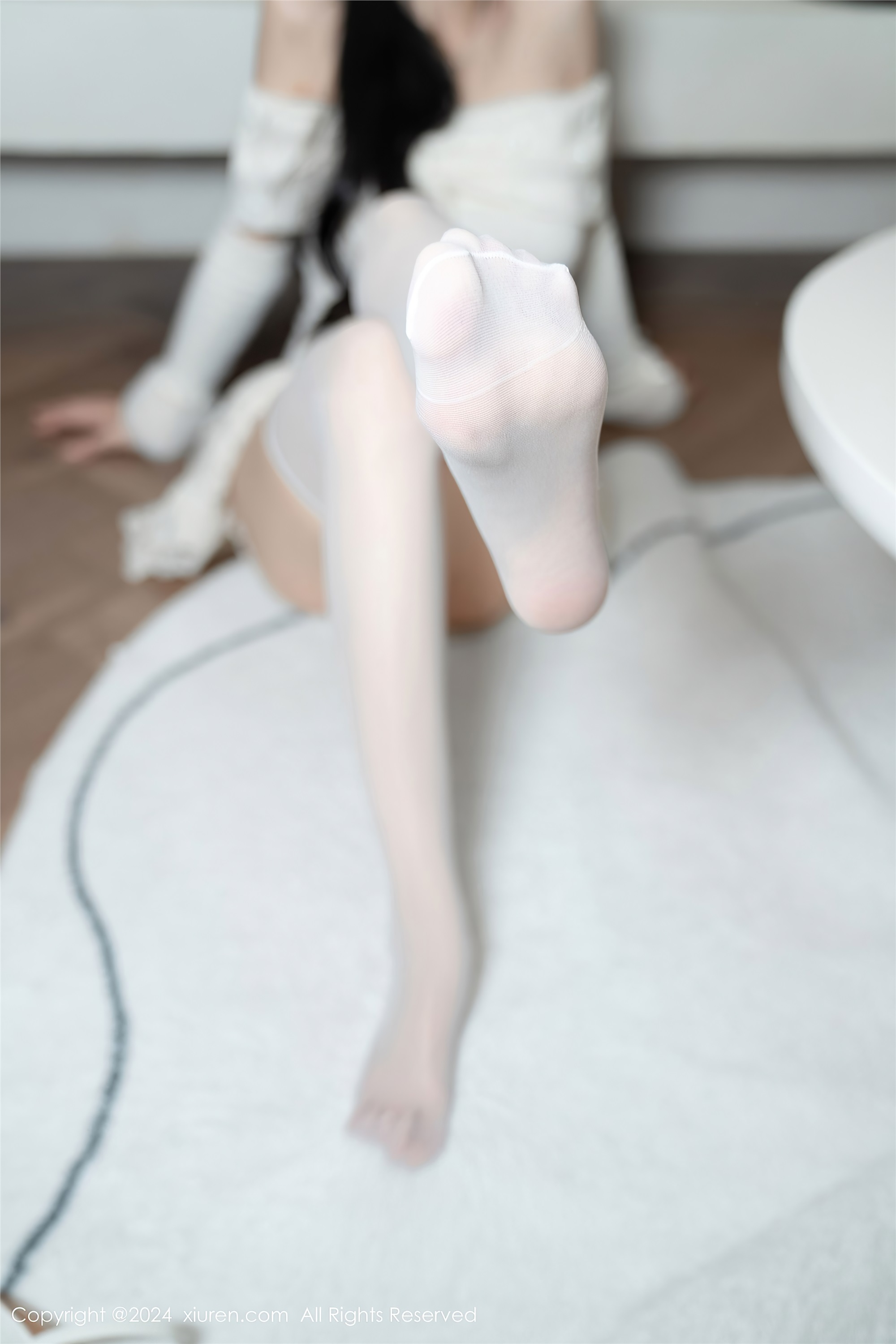 Xiuren秀人网 2024.12.25 NO.9658 林星阑